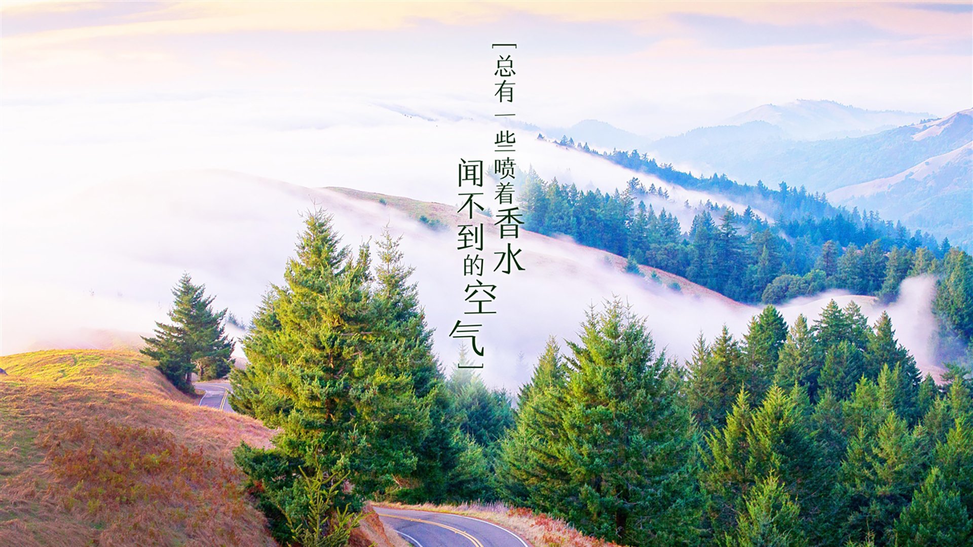 _新华社现场直击：赛场上的精彩瞬间_，新华社现场云官网