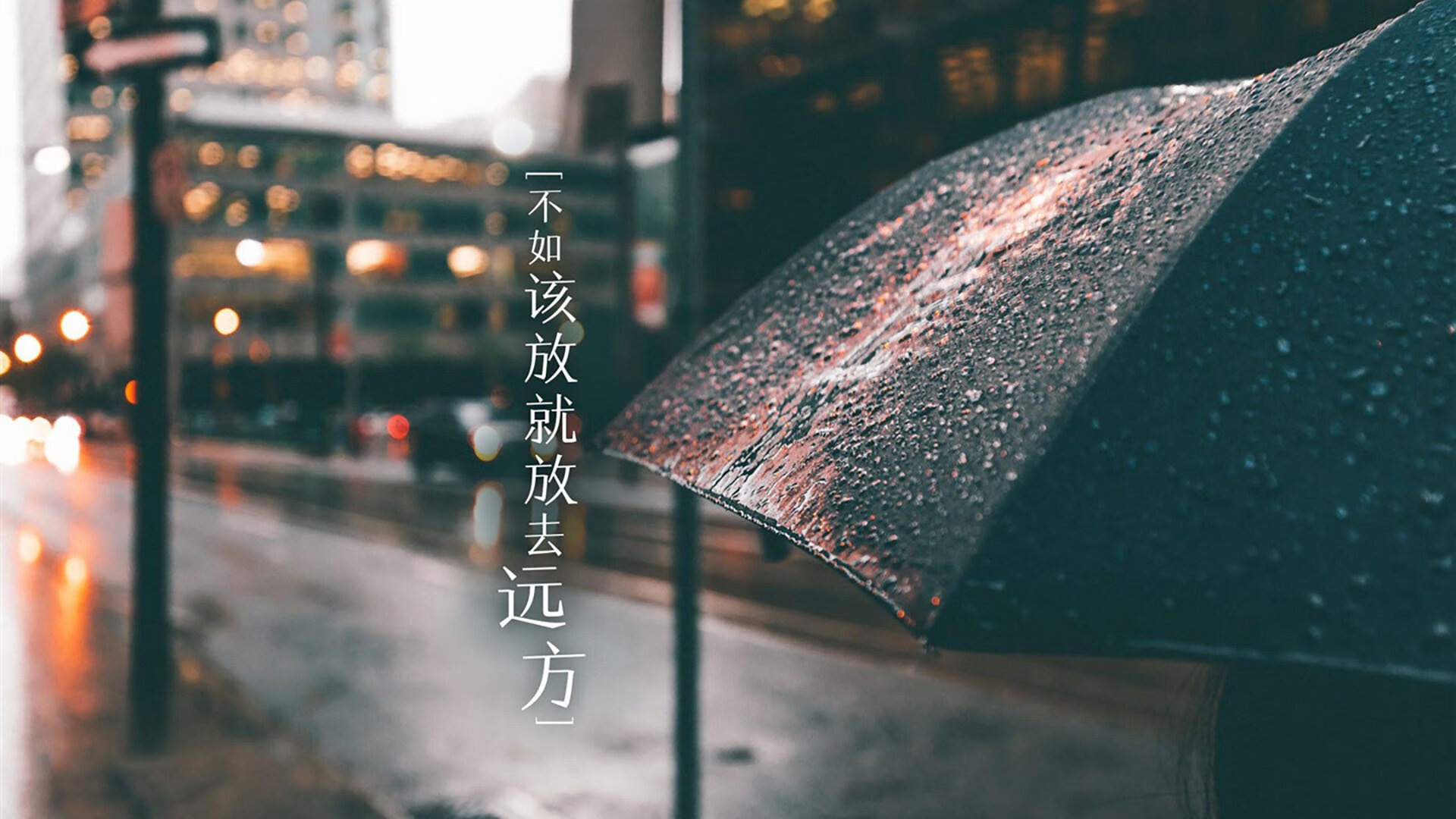 kaiyun.com-国王主场引入“手语播报服务”，联盟首次尝试，国王唱歌