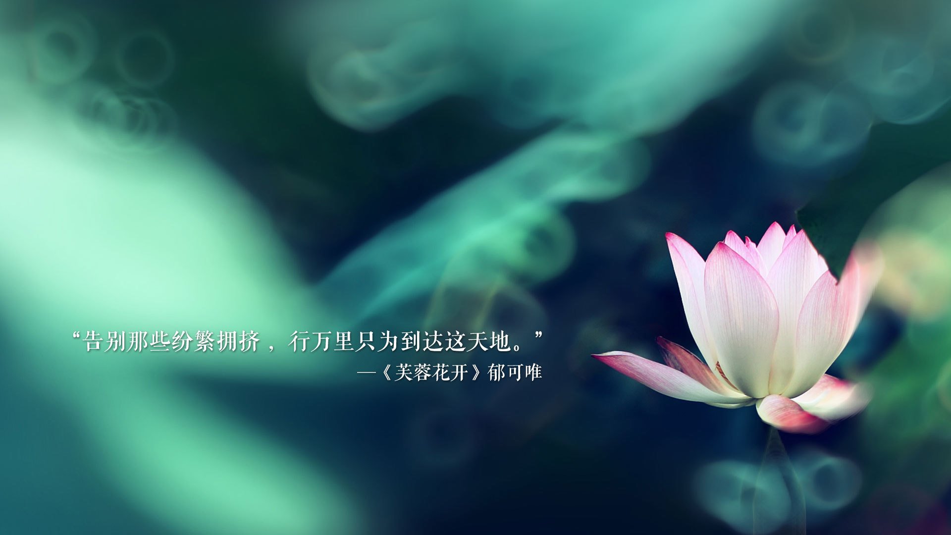 开云中国-裁判因寒冷提前吹哨，墨西哥队抗议成功，墨西哥立场