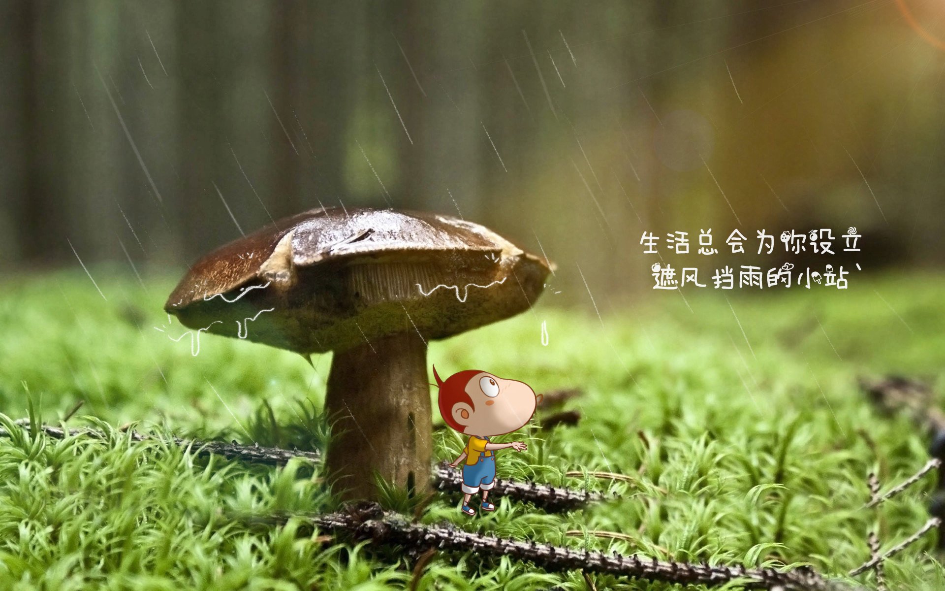 kaiyun官方网站-塞尔维亚男篮在欧洲预赛中拼搏奋进，开启全新征程，塞尔维亚男篮联赛