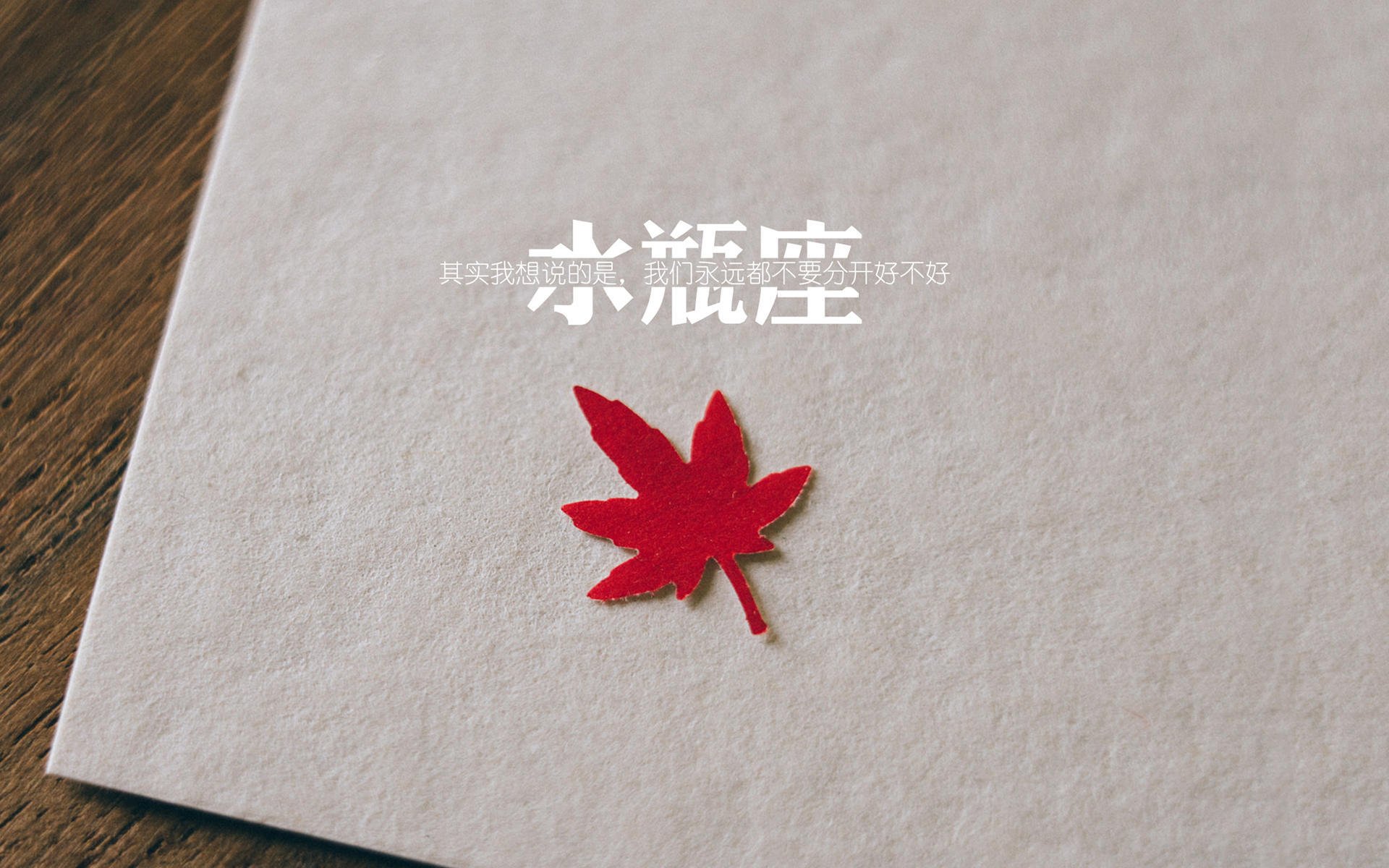 朱婷面对镜头谈及梦想与坚持,朱婷说的话