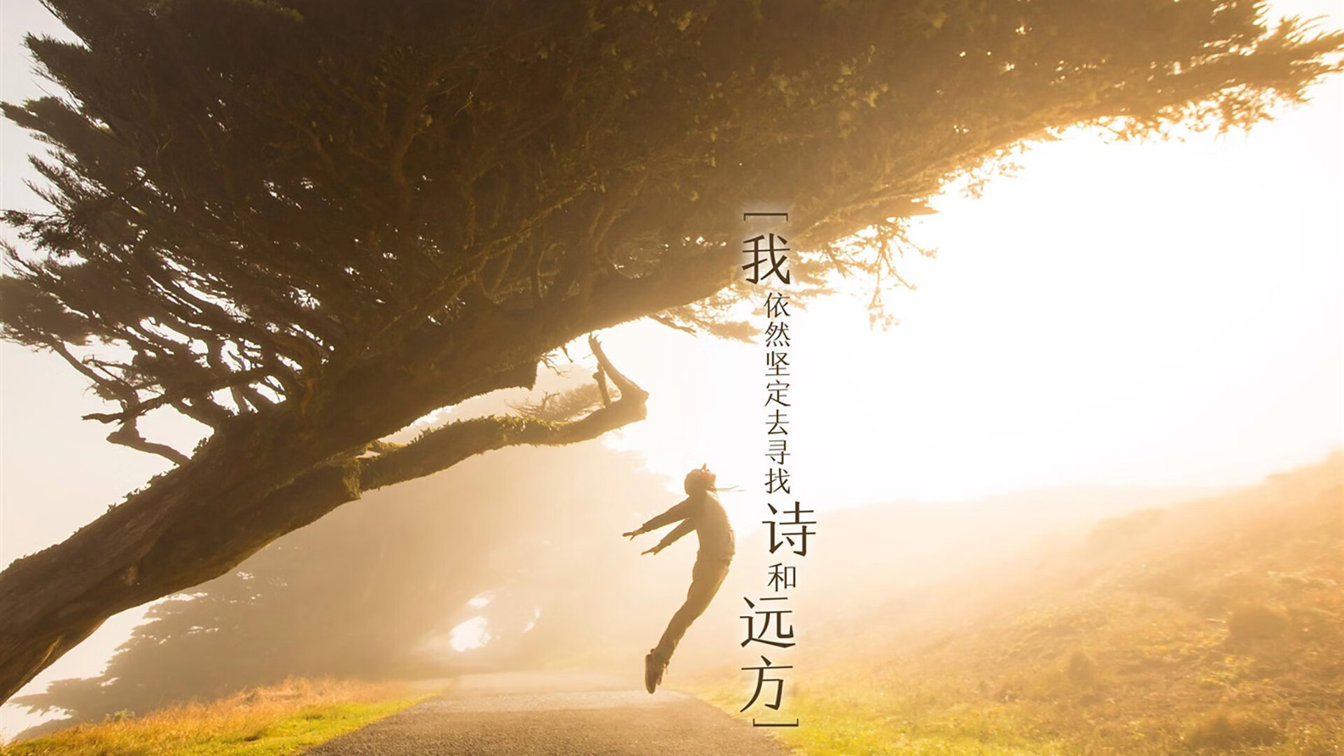 混合泳个人赛摩纳哥选手全面挑战